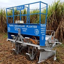 Sugar Cane Planter